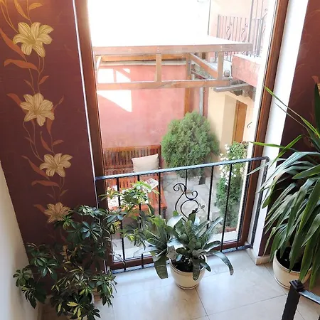 Solo Hotel 3*